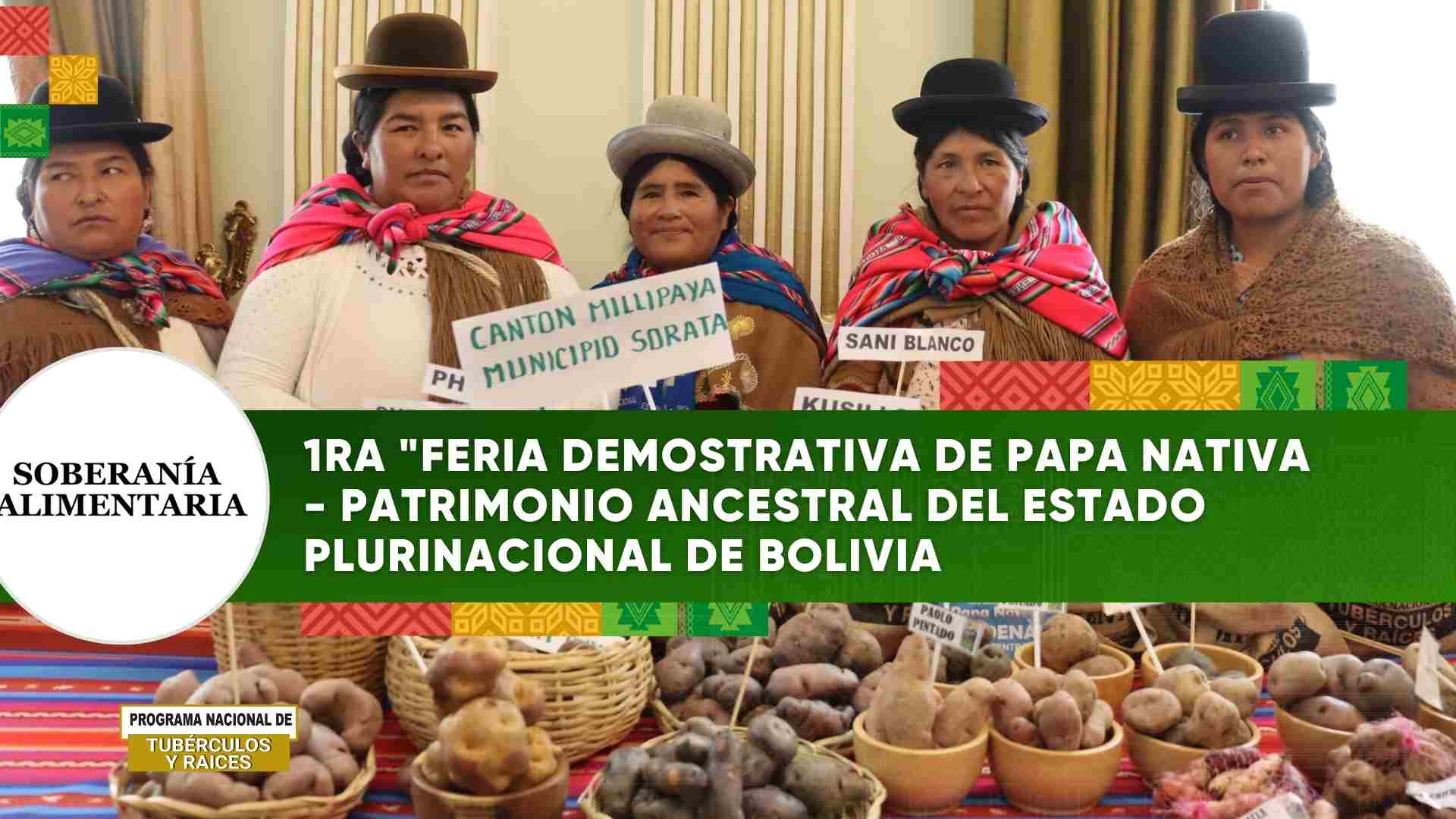 1ra "FERIA DEMOSTRATIVA DE PAPA NATIVA - PATRIMONIO ANCESTRAL DEL ESTADO PLURINACIONAL DE BOLIVIA
