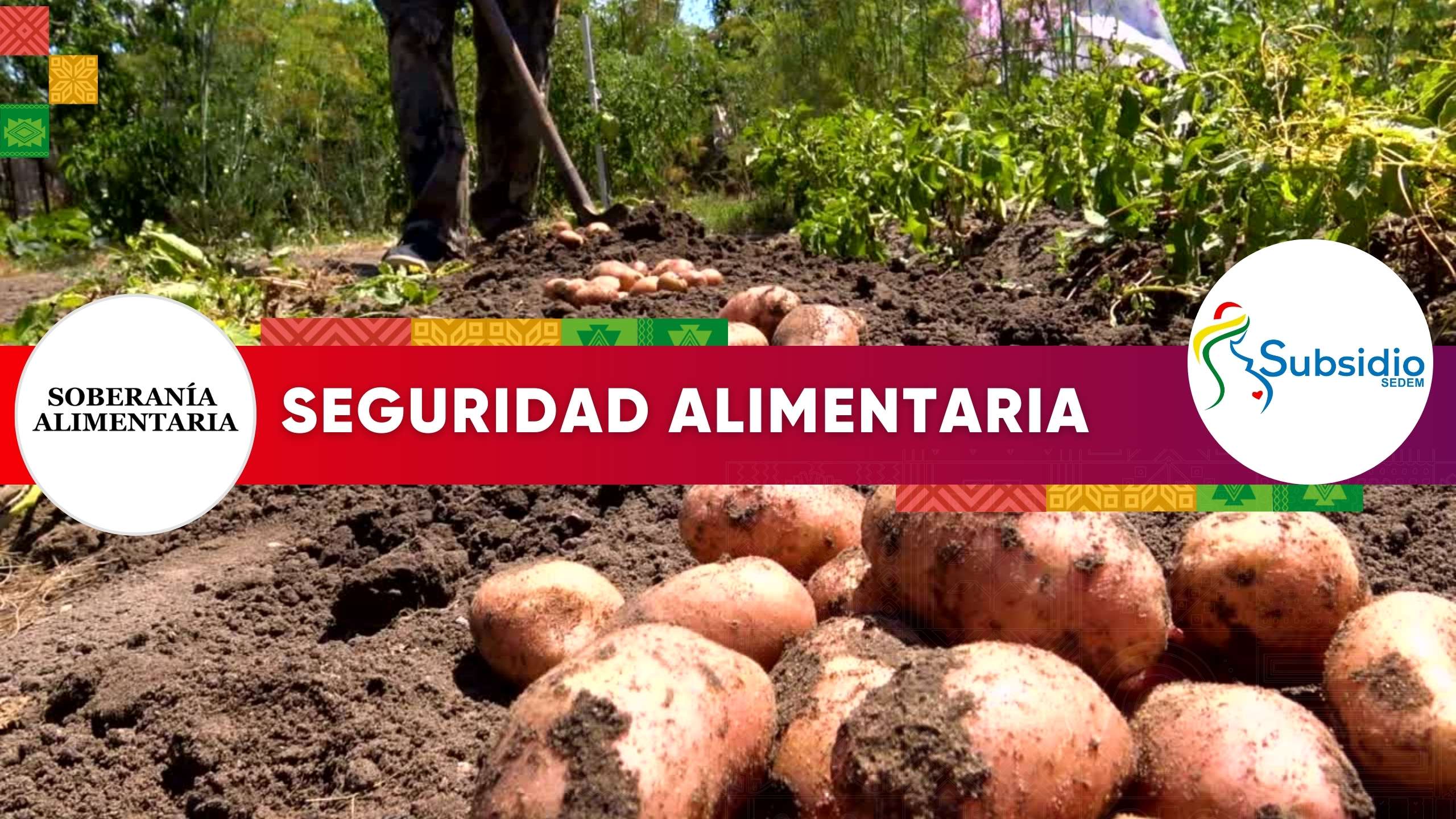 Seguridad Alimentaria