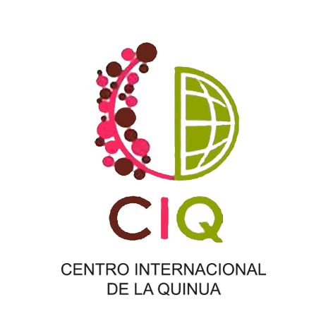 CIQ
