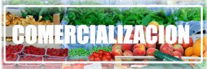 frutas y vegetales_V1